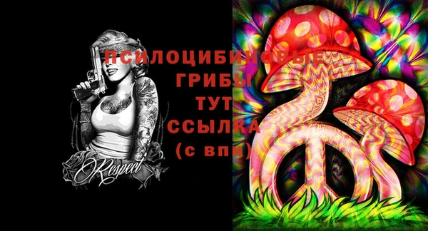 mix Верхний Тагил
