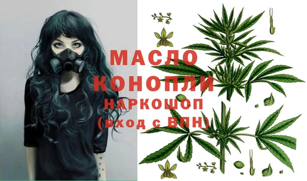 СК Волоколамск