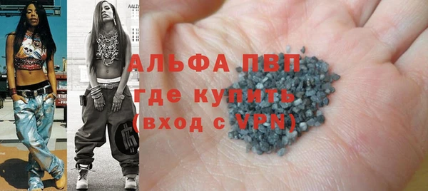 СК Волоколамск