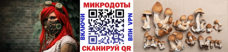 Галлюциногенные грибы Psilocybe  hydra ТОР  Корсаков  где купить наркоту 
